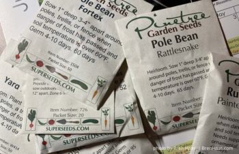 pinetree seed order review