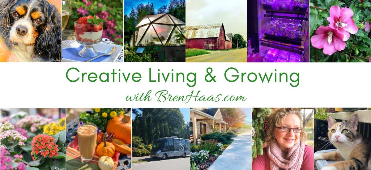 Creative Living and Growing with Bren Haas Header 2023