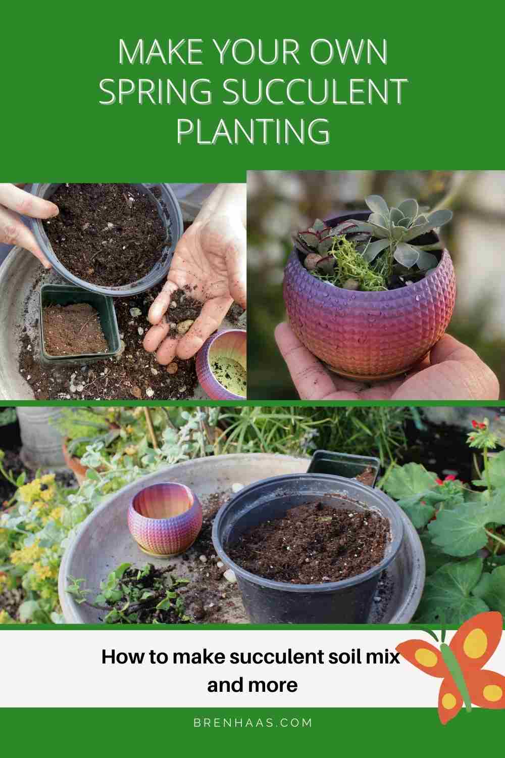 Make Your Own Succulent Container | Pinterest