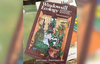 Walk & Talk VLOG | Winter Deer and Good Bugs