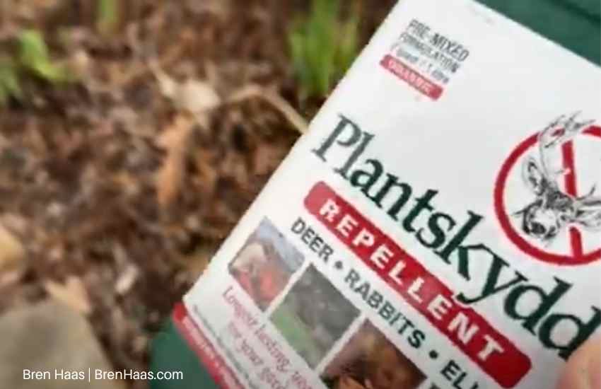 Plantskydd Repellent Review