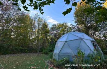 Geodesic Bio Dome in Early October