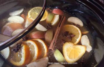 Spiced Apple Cider