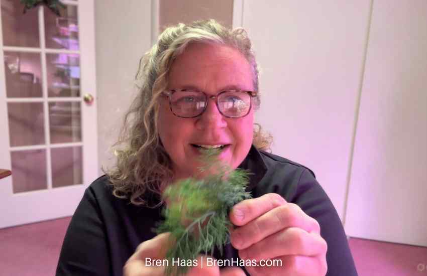 Bren and the Dill Bouquet