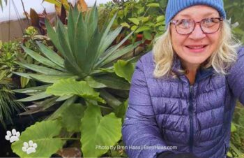 Bren Haas in January Dome 2026