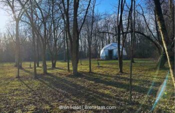 Sunny January Afternoon in the Dome