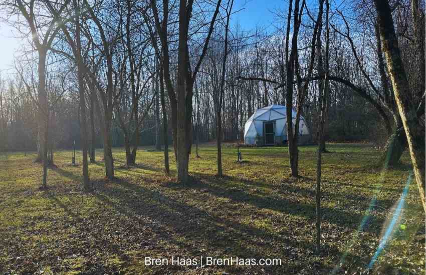 Sunny January Afternoon in the Dome