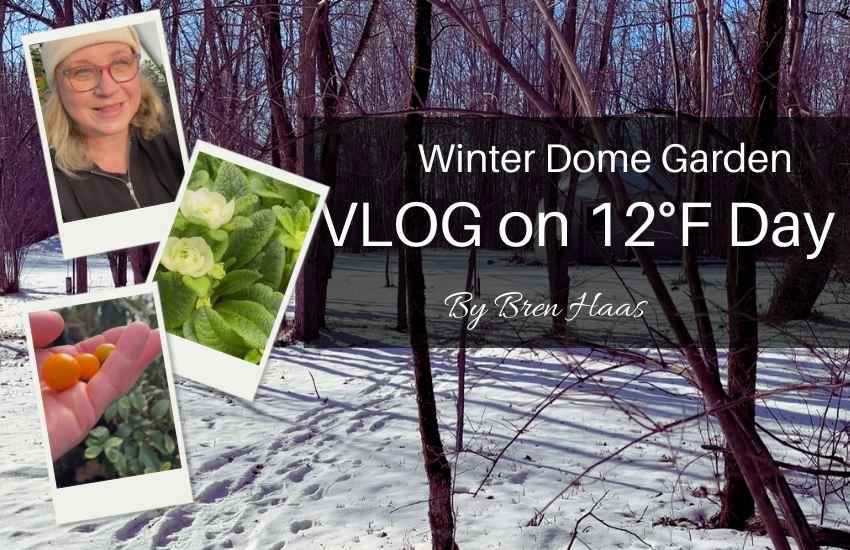 vlog thumbnail for cold day