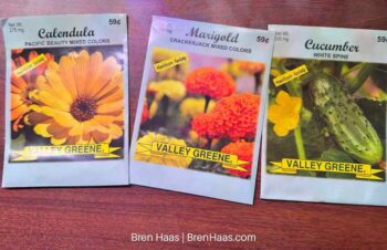 My Top 3 Affordable Seeds to Grow in 2026