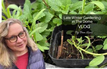 late winter gardening in dome vlog with bren haas 2026 march