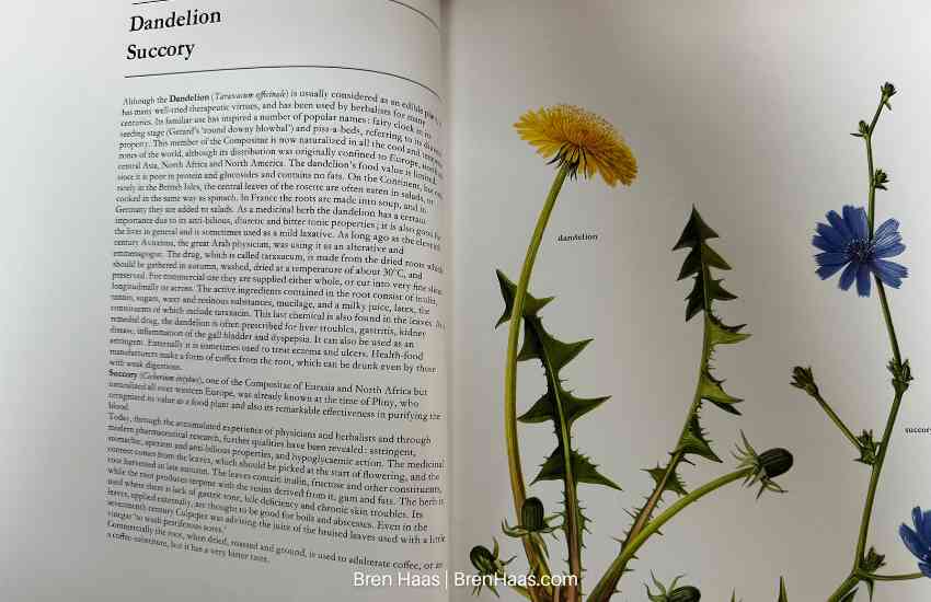 From Healthy Plants of the World Book