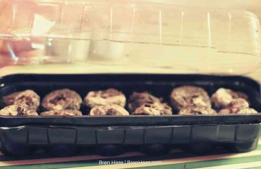 jiffy container with pods