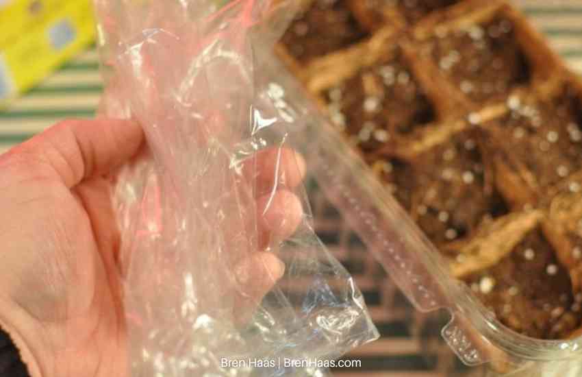 reuse plastic for lid on lettuce container