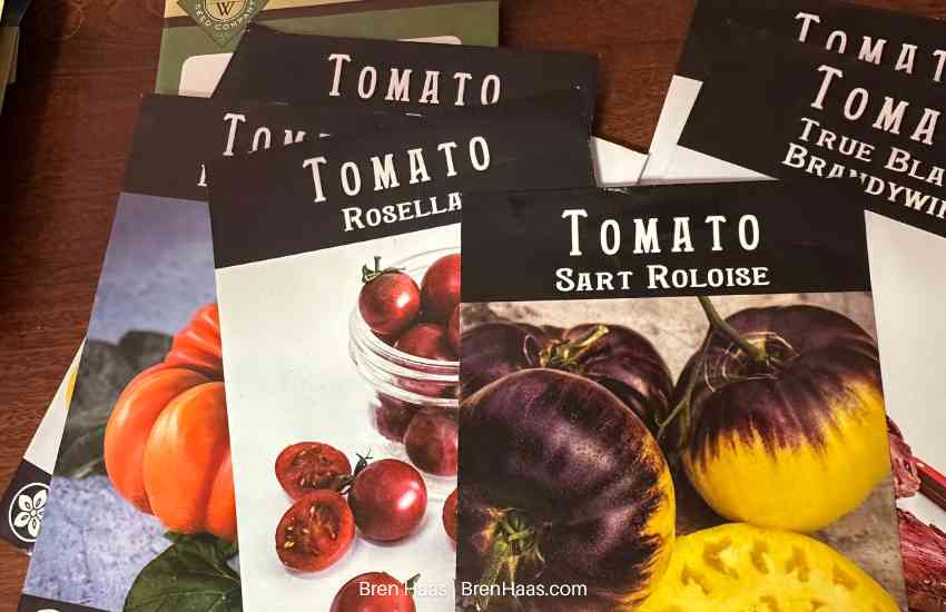 New Seeds For Garden 2026