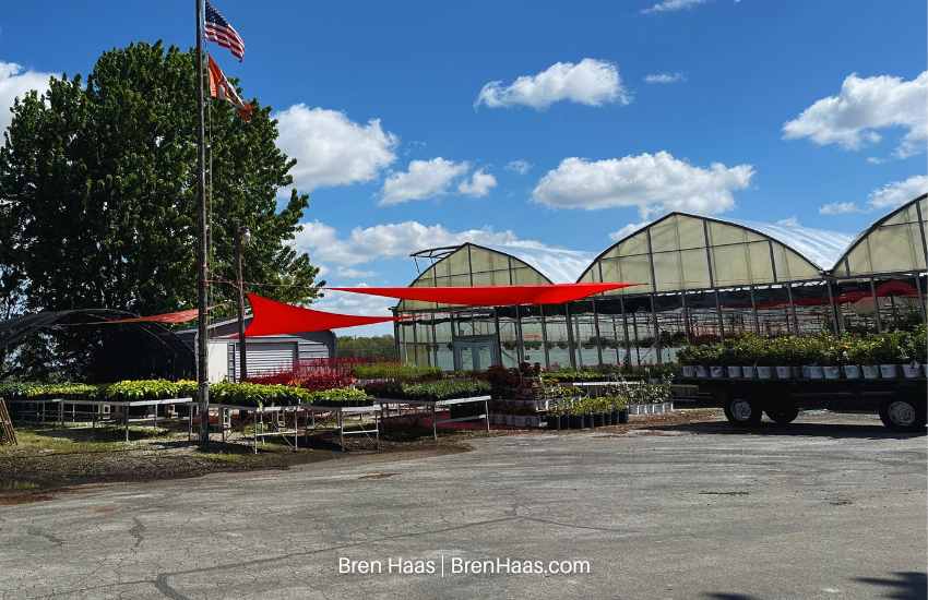 Bostdorff's Greenhouse in Early Spring 2026