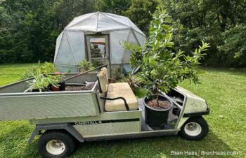 Loading Up Cart To Move Plants