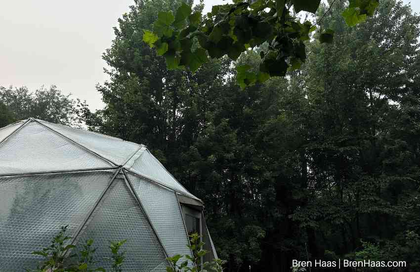 Dome During Smoke Day