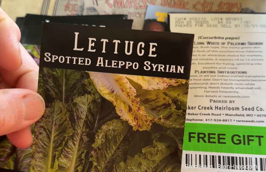 Heat Resistant Lettuce