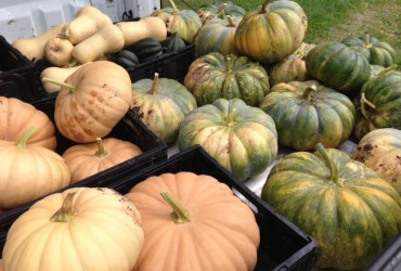 Raised Bed Art with GardenFrames : Interview with Co-Founder 10A16